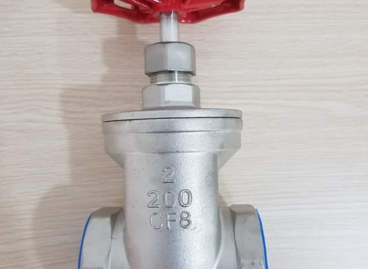 VAN CỔNG INOX NỐI REN 304 ARITA SCREW-END-BSPT /ARITA-SS-GATE-VALVE-SCREW-END-BSPT
