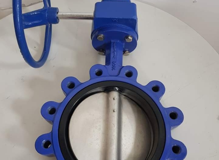 Van bướm ARITA Loại vấu sắt dễ uốn PN 16/ARITA - CI LUG GEAR TYPE BUTTERFLY VALVE PN16